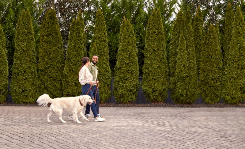 Garmin VIVOSMART 5 - Smarter Fitness Tracker – Bild 15